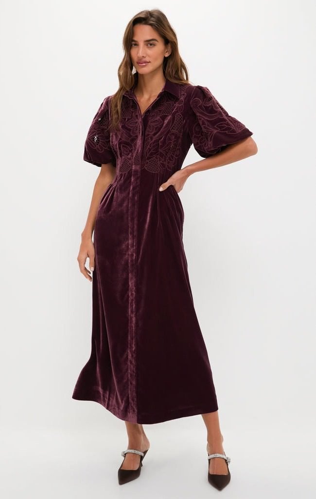 Winetasting Velvet Lace Delaney Dress