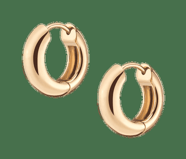 Small Gold Chunky Hinged Hoop Earrings