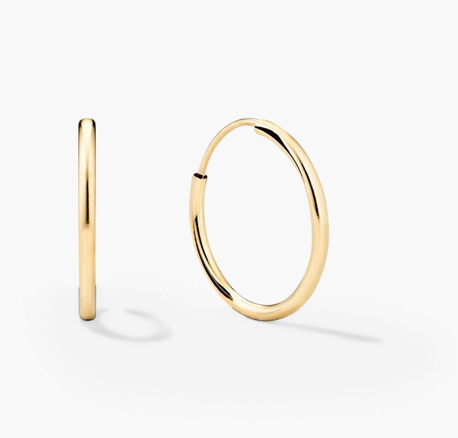 Small Hoops Earrings (10k Yellow Gold)