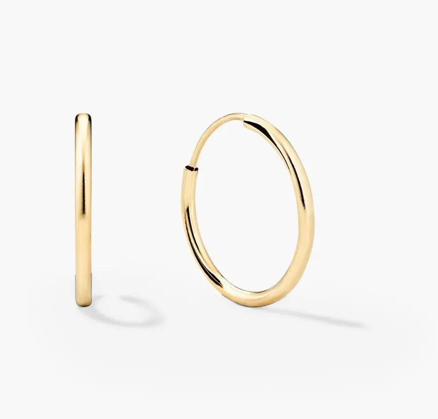 Small Hoops Earrings (10k Yellow Gold)