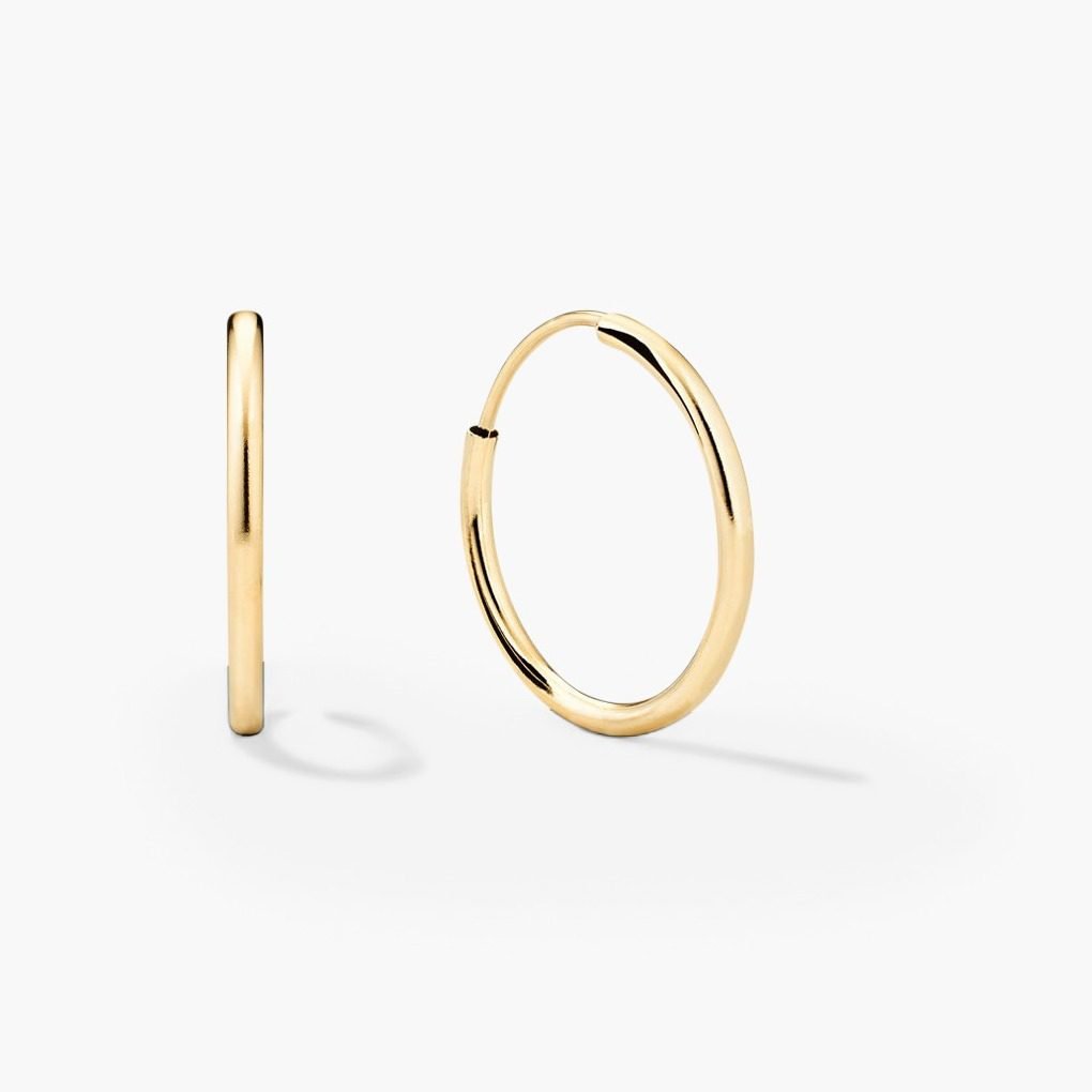 Small Hoops Earrings (10k Yellow Gold)