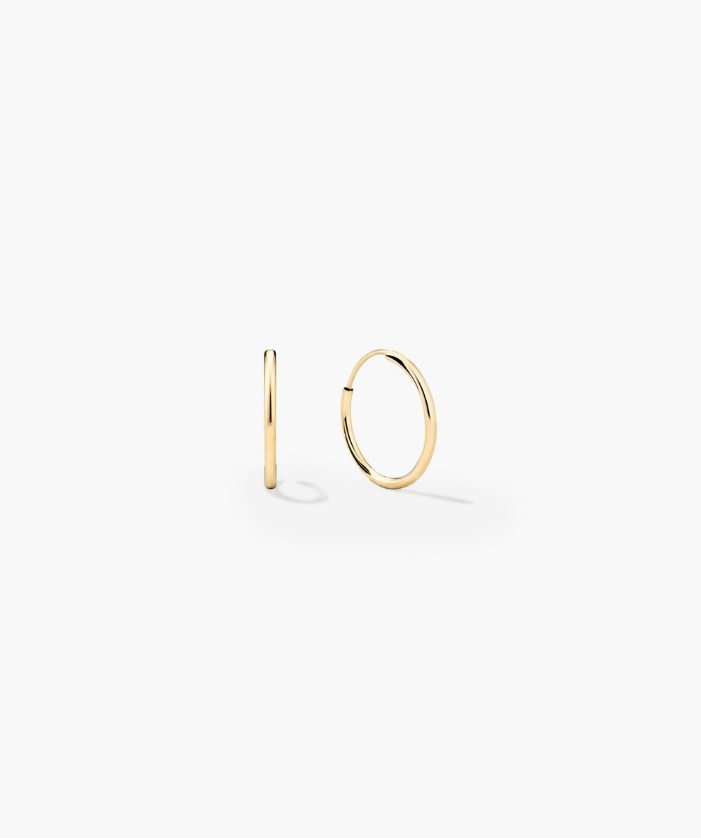 Small Hoops Earrings (10k Yellow Gold)