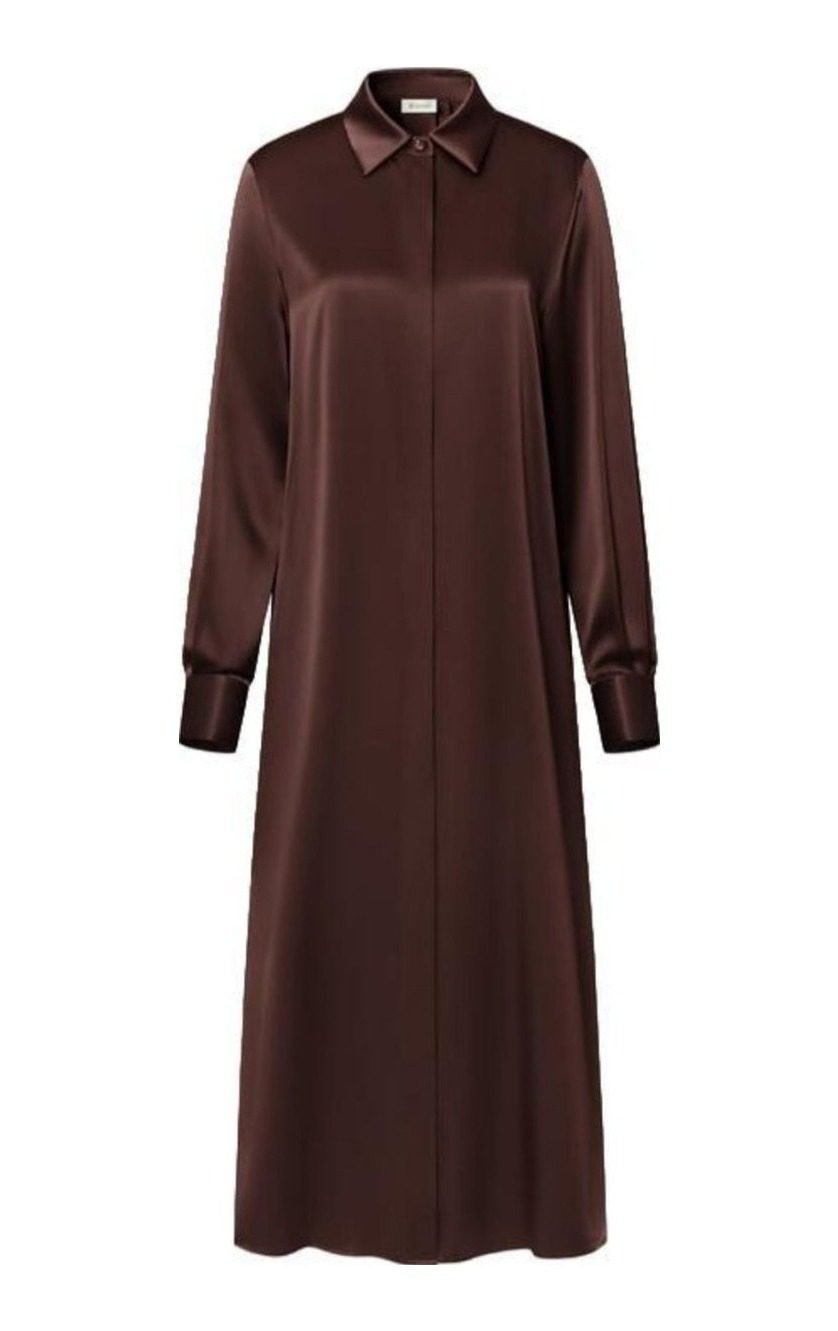 Silk Charmeuse Shirt Dress