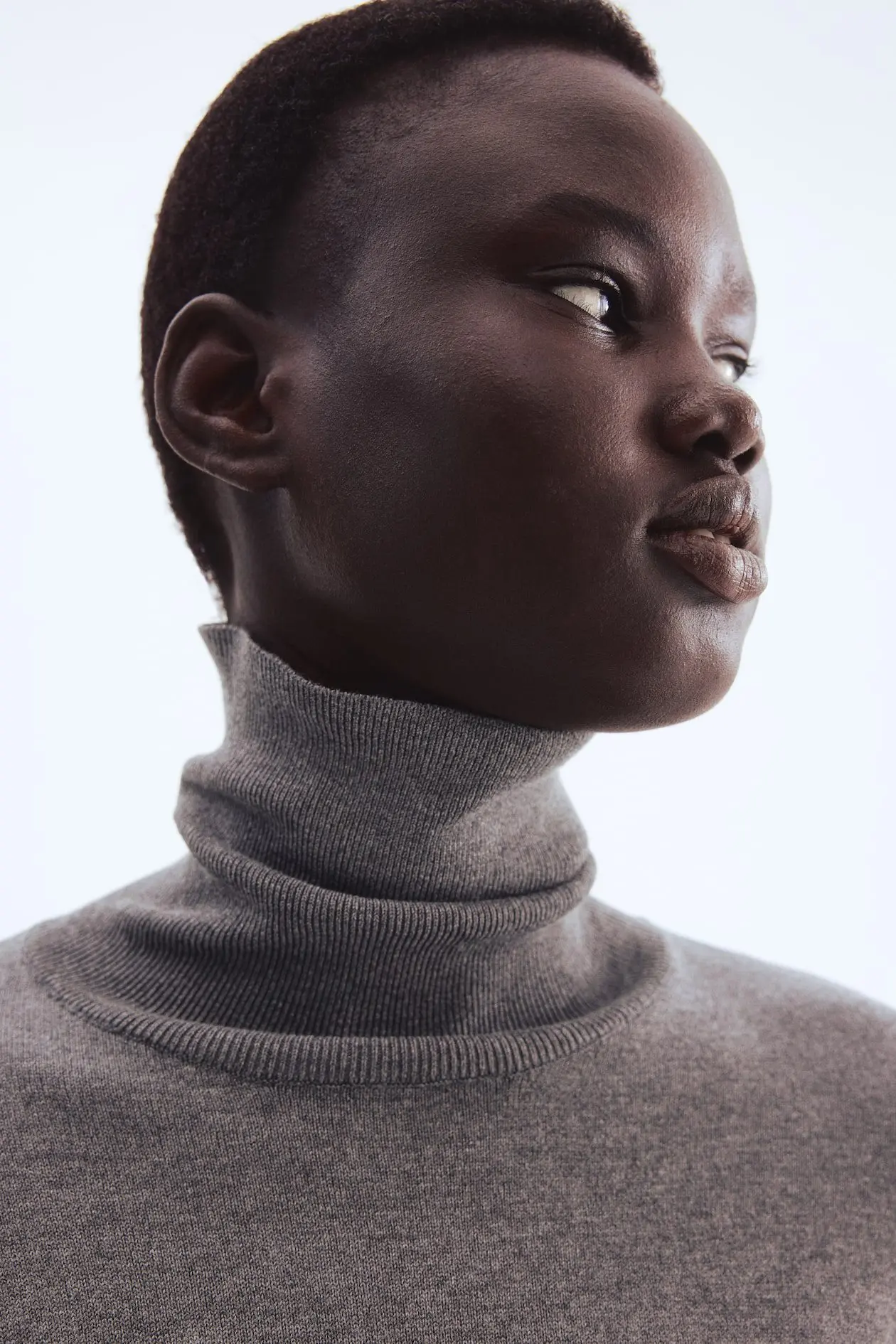 Turtleneck Sweater (Gray Melange)
