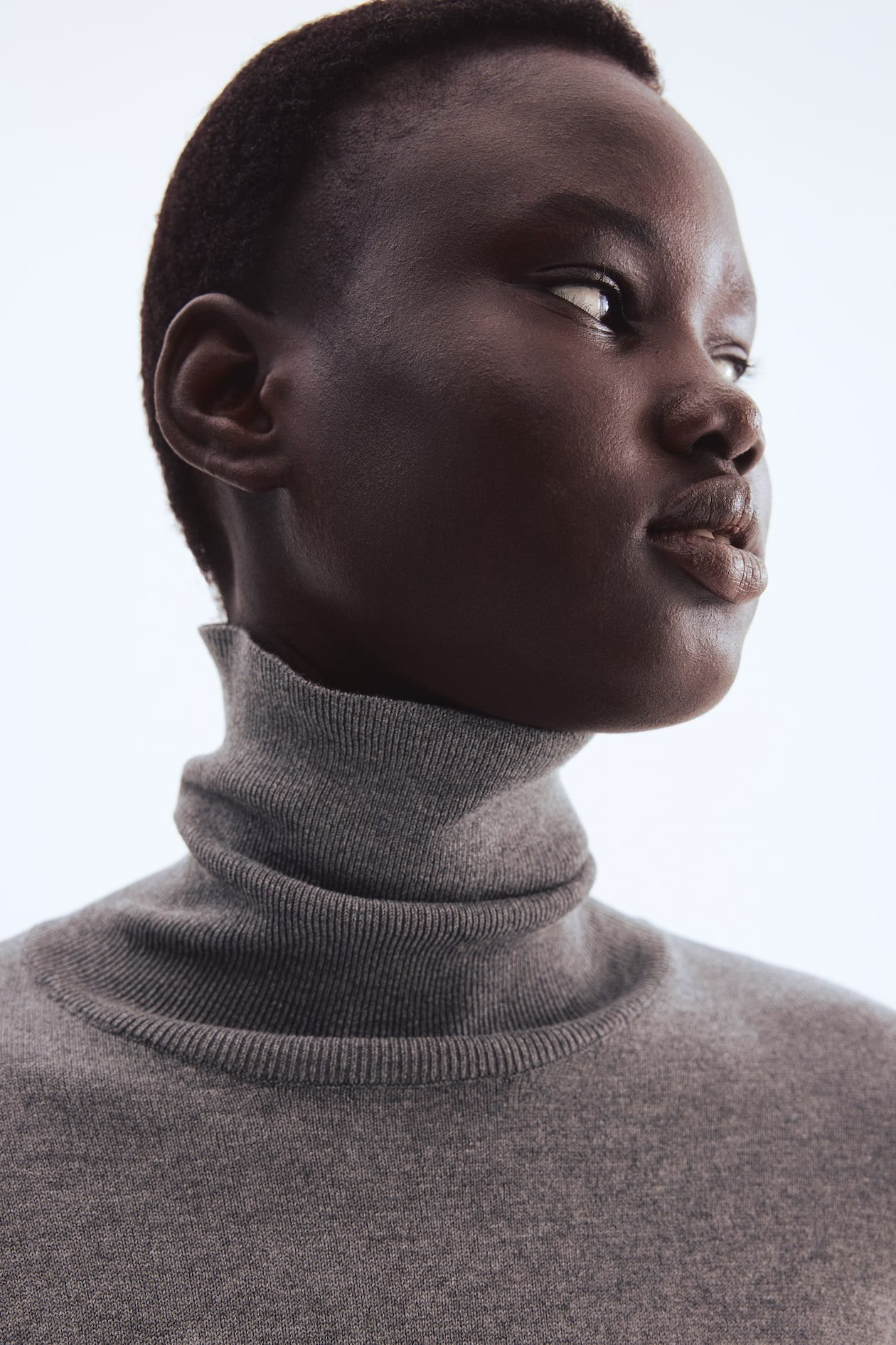 Turtleneck Sweater (Gray Melange)