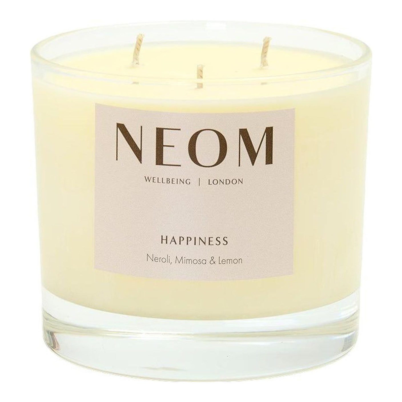Happiness Scented Candle (3 Wick)