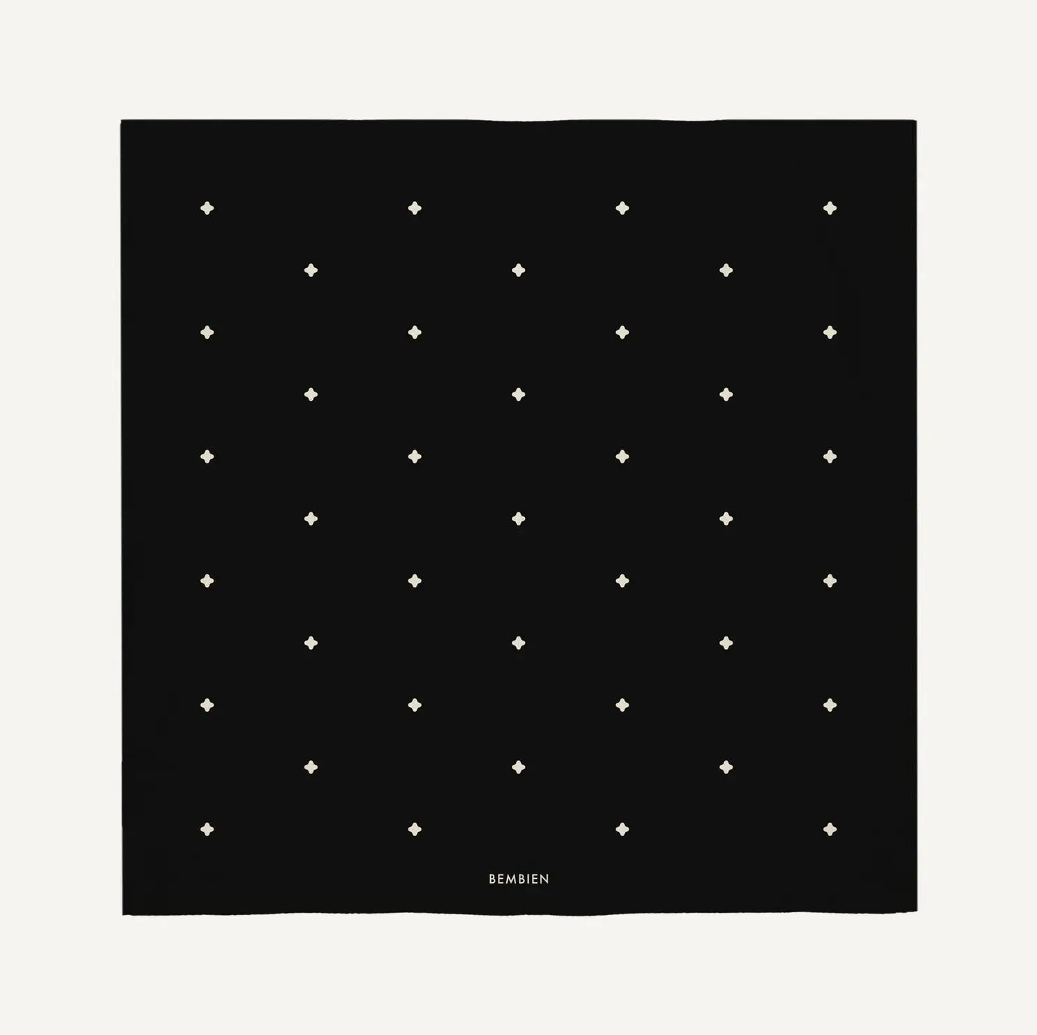 Estrella Silk Scarf (Noir)