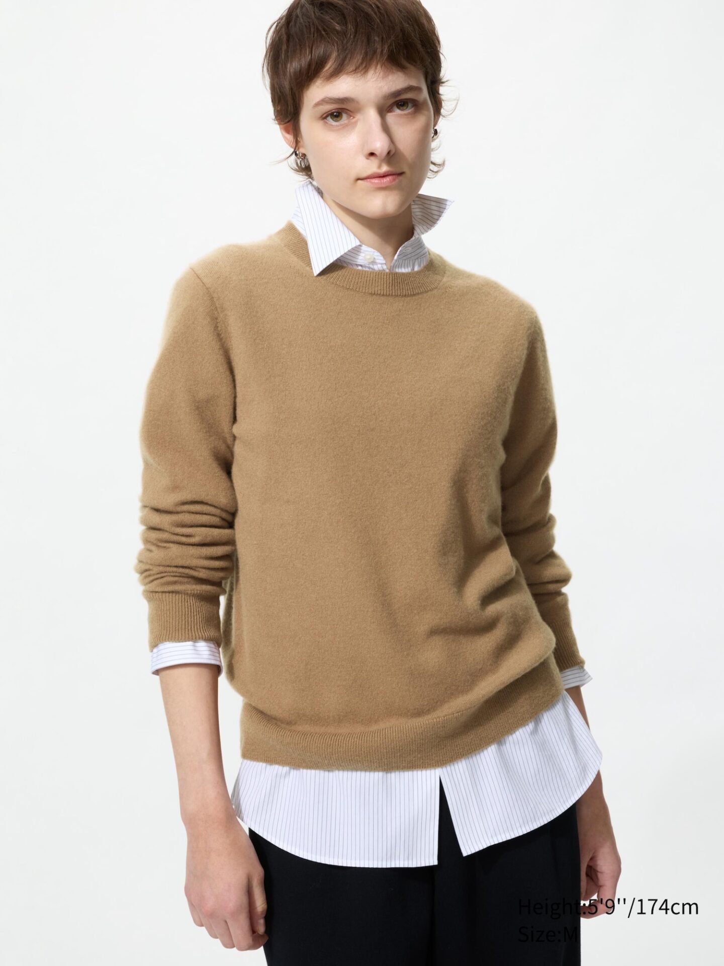 Cashmere Crew Neck Sweater (32 Beige)