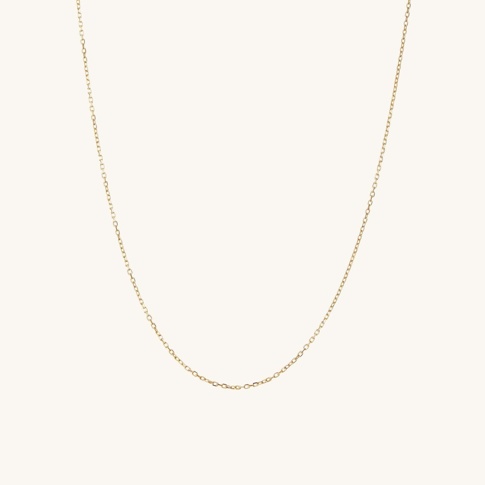 Chain Necklace (10k Yellow Gold)