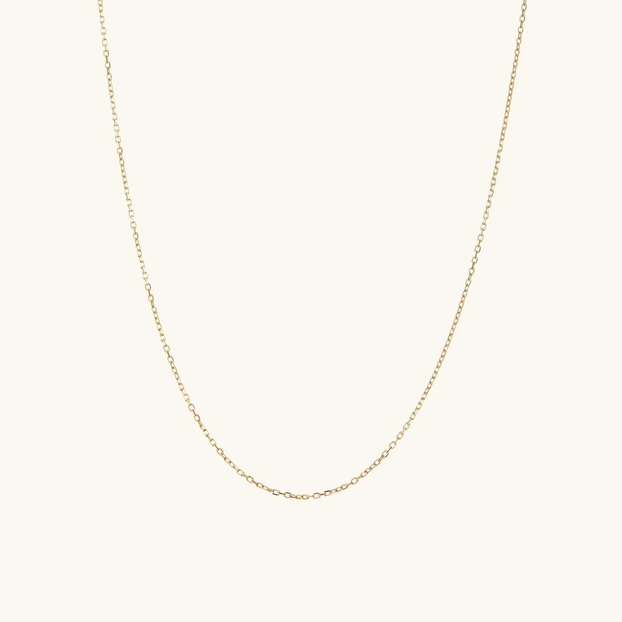 Chain Necklace (10k Yellow Gold)